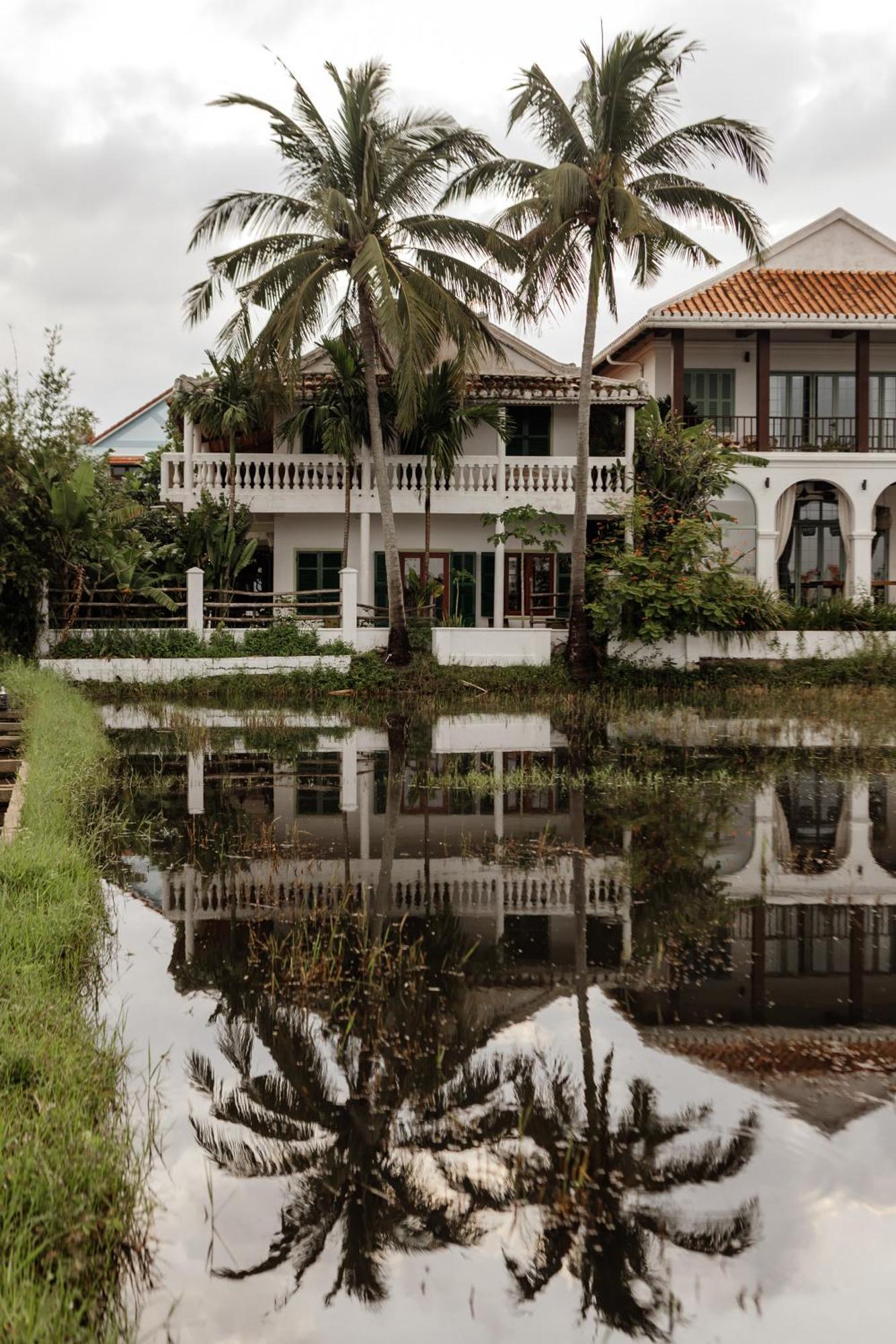 Heron House هوي ان المظهر الخارجي الصورة